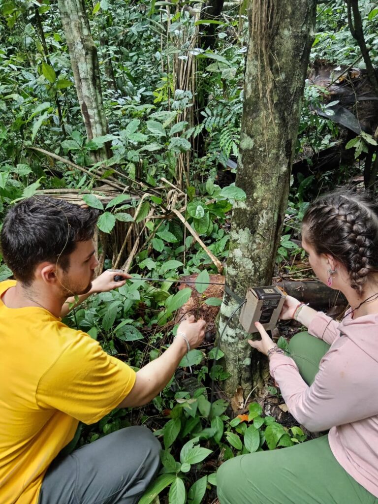 Setting up camera traps