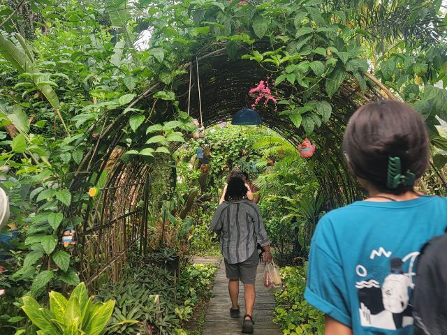 "Enchanted" in Chiang Mai